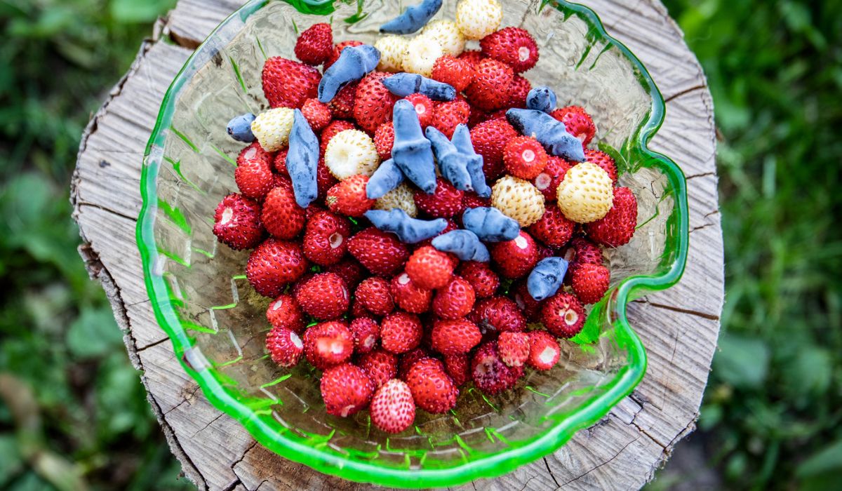 Is It Safe to Eat off of Uranium Glass? Glass Helper